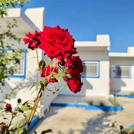 El Greco Apartments In Tigaki, Near The Sea - No 2