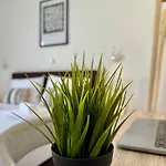 Apartment Modern With Garden, Near - El Greco No 2 Tigkaki (Kos)