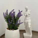 Modern With Garden, Near - El Greco No 2