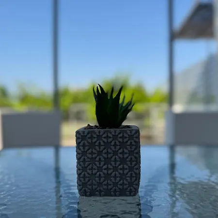 El Greco In Tigaki, Near The Sea - No 2