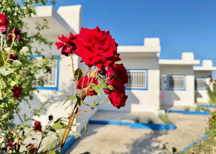 El Greco In Tigaki, Near The Sea - No 2